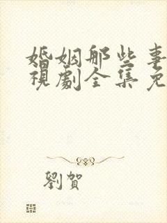 婚姻那些事儿电视剧全集免费观看