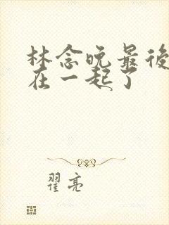 林念晚最后和谁在一起了