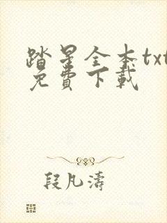 踏星全本txt免费下载