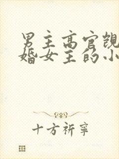 男主高官觊觎已婚女主的小说