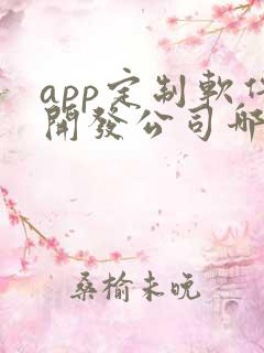 app定制软件开发公司哪家好