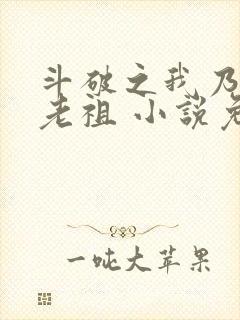 斗破之我乃萧家老祖 小说免费看