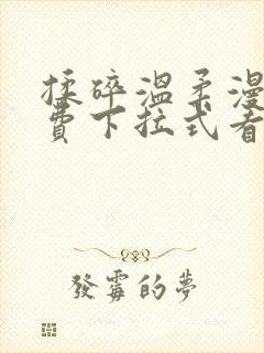 揉碎温柔漫画免费下拉式看漫画最新章节