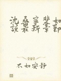 沈桑宁裴如衍小说最新章节