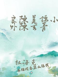 良陈美锦小说番外陈玄青