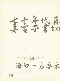 七十年代再婚夫妻电子书txt下载