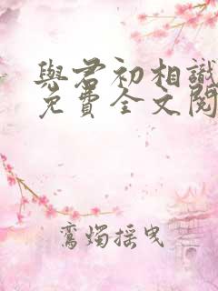 与君初相识小说免费全文阅读