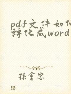 pdf文件如何转化成word文档