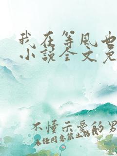 我在等风也等你小说全文免费阅读