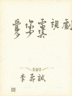 爱你电视剧一共多少集