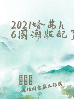 2021哈弗h6国潮版配置
