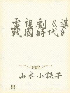 电视剧《婆媳的战国时代》