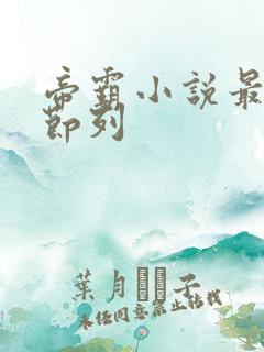 帝霸小说最新章节列