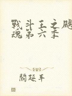 战斗王之飓风战魂第六季