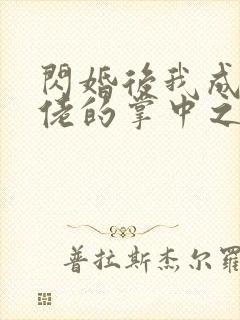 闪婚后我成了大佬的掌中之物电视连续剧