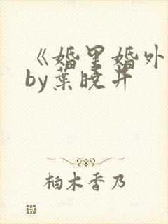 《婚里婚外》 by叶晓井