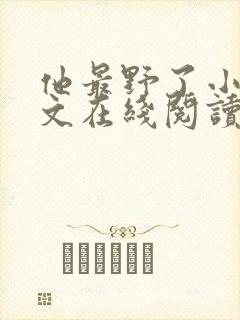 他最野了小说全文在线阅读