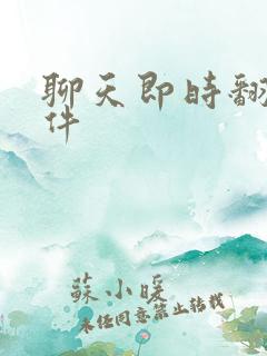 聊天即时翻译软件