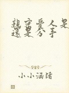 亲密爱人是表白还是分手