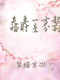 夫妻一方起诉离婚财产分割