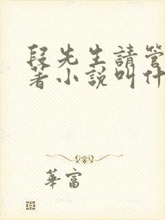 段先生请管我原著小说叫什么名字