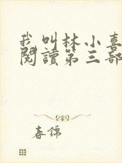 我叫林小喜全文阅读第三部