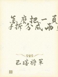 怎么把一页pdf拆分成两页