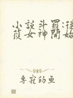 小说斗罗:从俘获女神开始无敌阅读