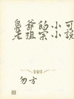 枭爷的小可爱是老祖宗小说免费阅读