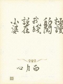 小说我的极品老婆在线阅读免费