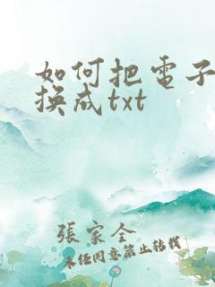 如何把电子书转换成txt