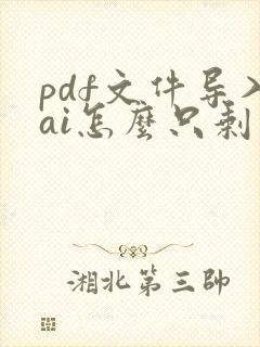 pdf文件导入ai怎么只剩一张