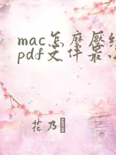 mac怎么压缩pdf文件最小