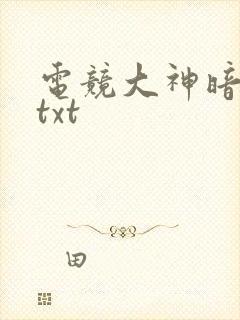 电竞大神暗恋我txt