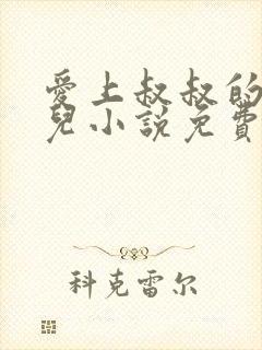 爱上叔叔的侄女儿小说免费阅读三