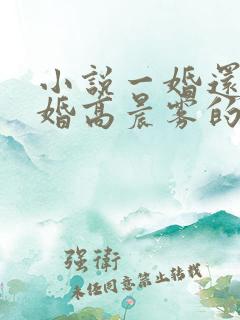 小说一婚还比一婚高晨雾的光
