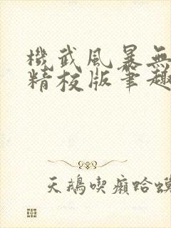 机武风暴无错字精校版笔趣阁
