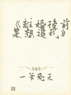 《离婚后前夫总是想追我》