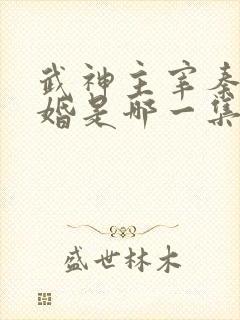 武神主宰秦尘抢婚是哪一集