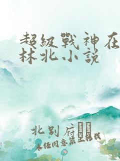 超级战神在都市林北小说