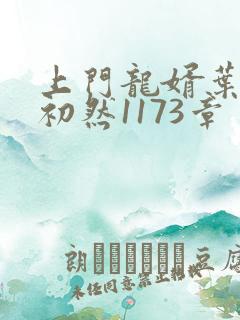 上门龙婿叶辰萧初然1173章