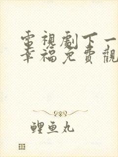 电视剧下一站是幸福免费观看全集