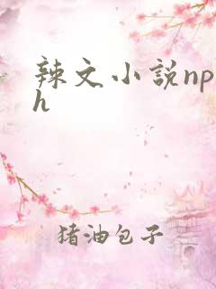 辣文小说np高h