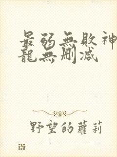 最弱无败神装机龙无删减