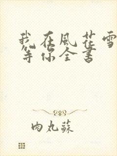 我在风花雪月里等你全书