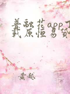 普融花app下载原恒易贷