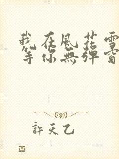 我在风花雪月里等你无弹窗