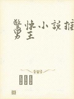 惊悚小说推荐双男主