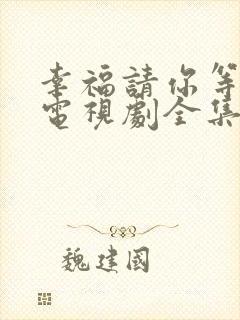 幸福请你等等我电视剧全集免费观看