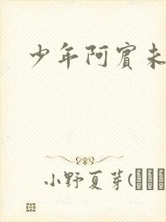 少年阿宾未删减